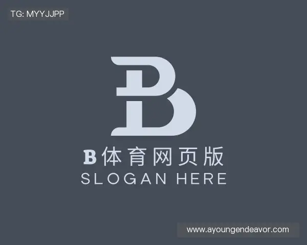 介绍B体育网页版官网