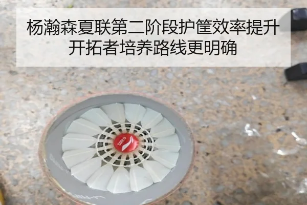 杨瀚森夏联第二阶段护筐效率提升开拓者培养路线更明确